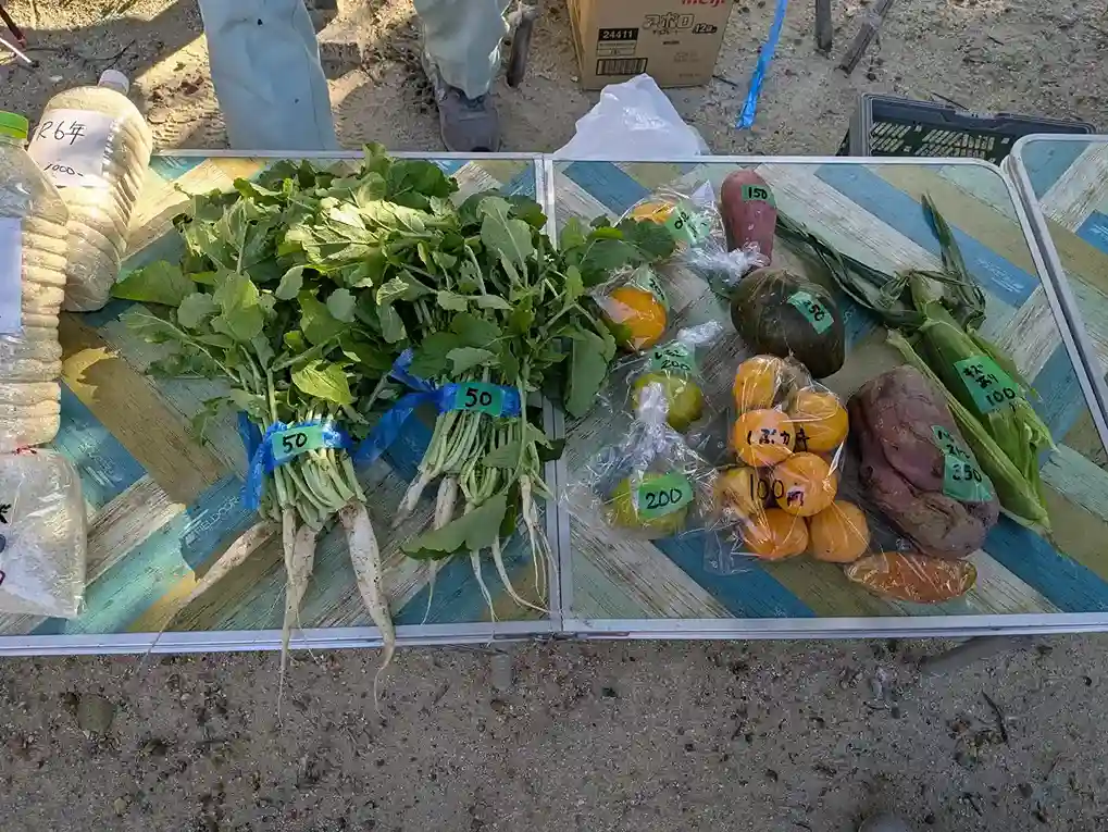 《毎週2回開催》地元の採れたて野菜が島本駅前公園にずらり！