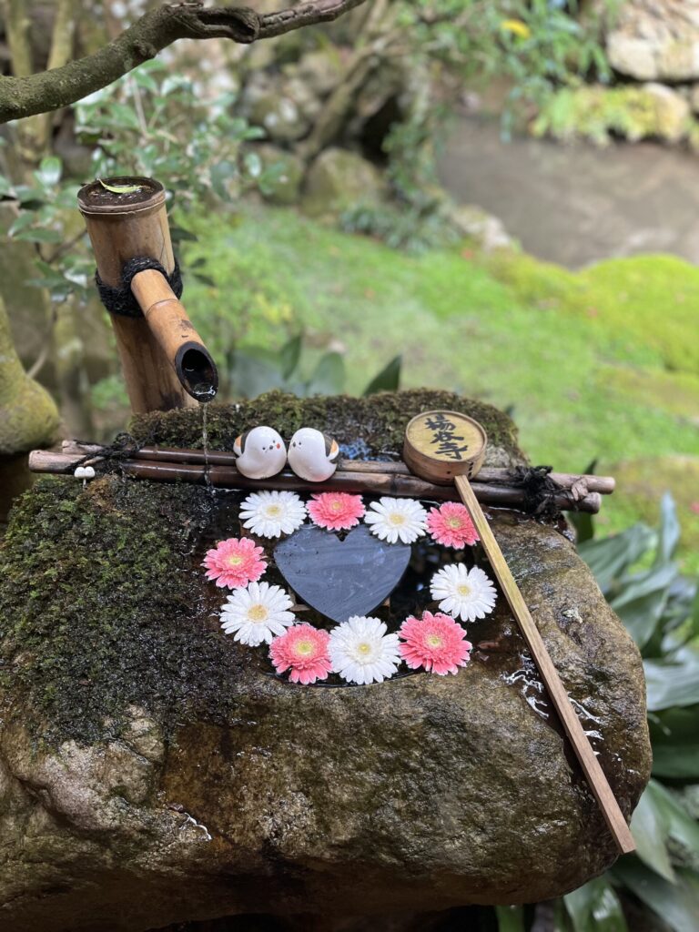 柳谷観音 花手水 ガーベラ