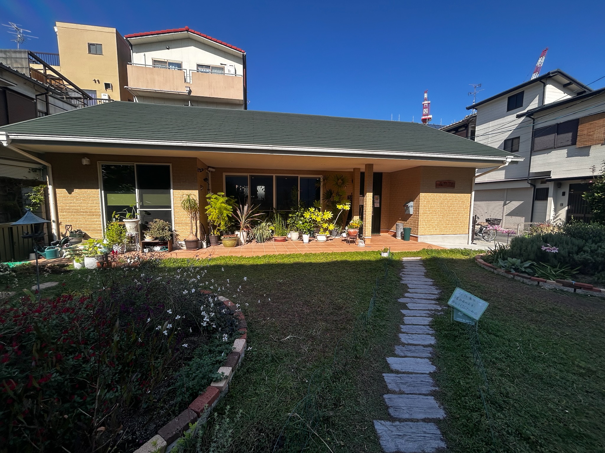 森カフェ : 静かな住宅街で味わう“やさしいごはん”と癒しの時間【摂津市】