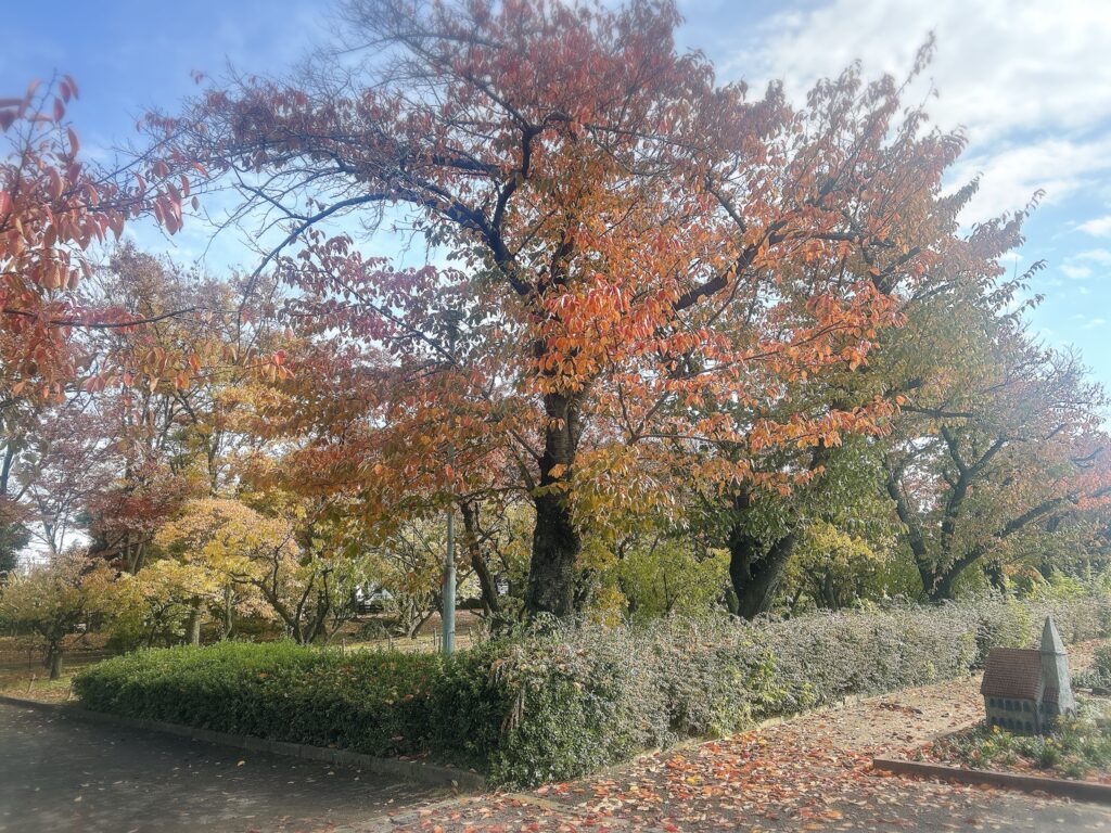 平和公園3