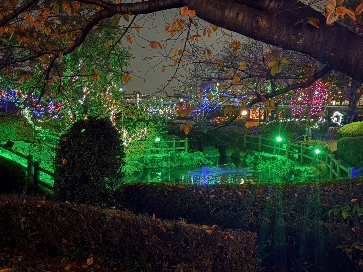 【大正川河川敷イルミネーション】冬の摂津を彩る光の散歩道