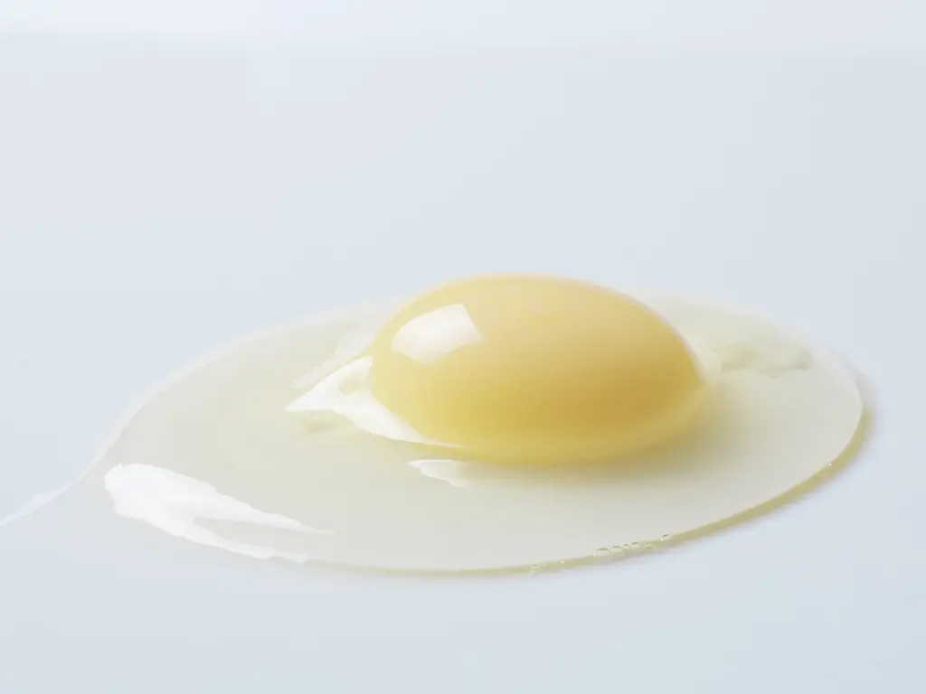 CHEESE WONDER　阪急うめだ本店