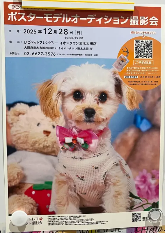 【参加無料】ポスターモデルオーディション撮影会がイオンタウン茨木太田で開催！