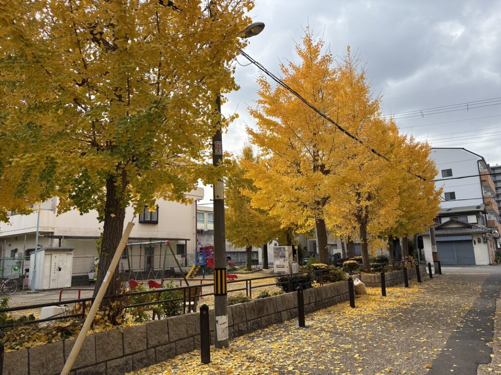 日之出東公園奥から紅葉を見る