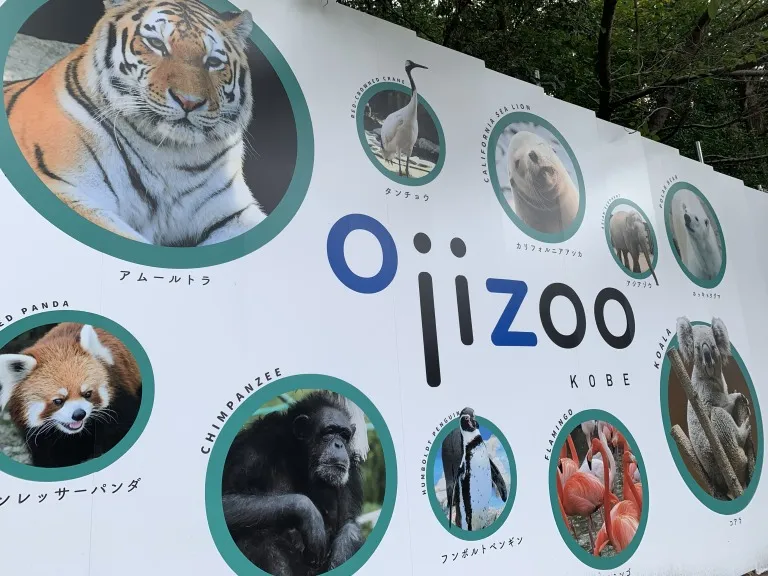 王子動物園サバンナゾーン　囲い①