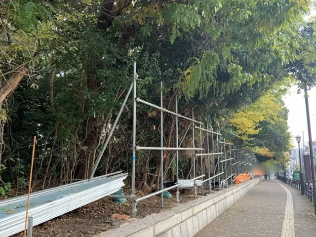 王子動物園サバンナゾーン　囲い取り外し②